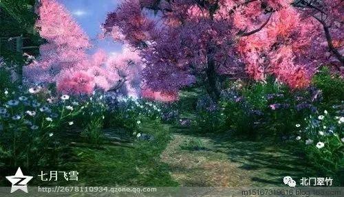 春节到厦门，免费看好戏，1月31日0时开抢门票