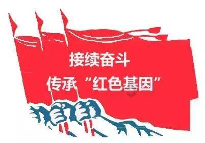 鼻部美学 | 解析鼻子与五官的相互关系